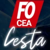 fo cea cesta android application logo